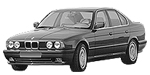 BMW E34 P208A Fault Code